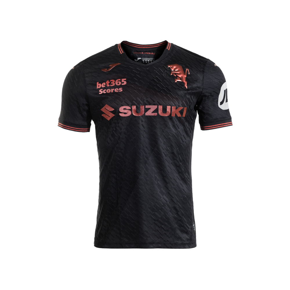 Jersey Torino Third 25/26