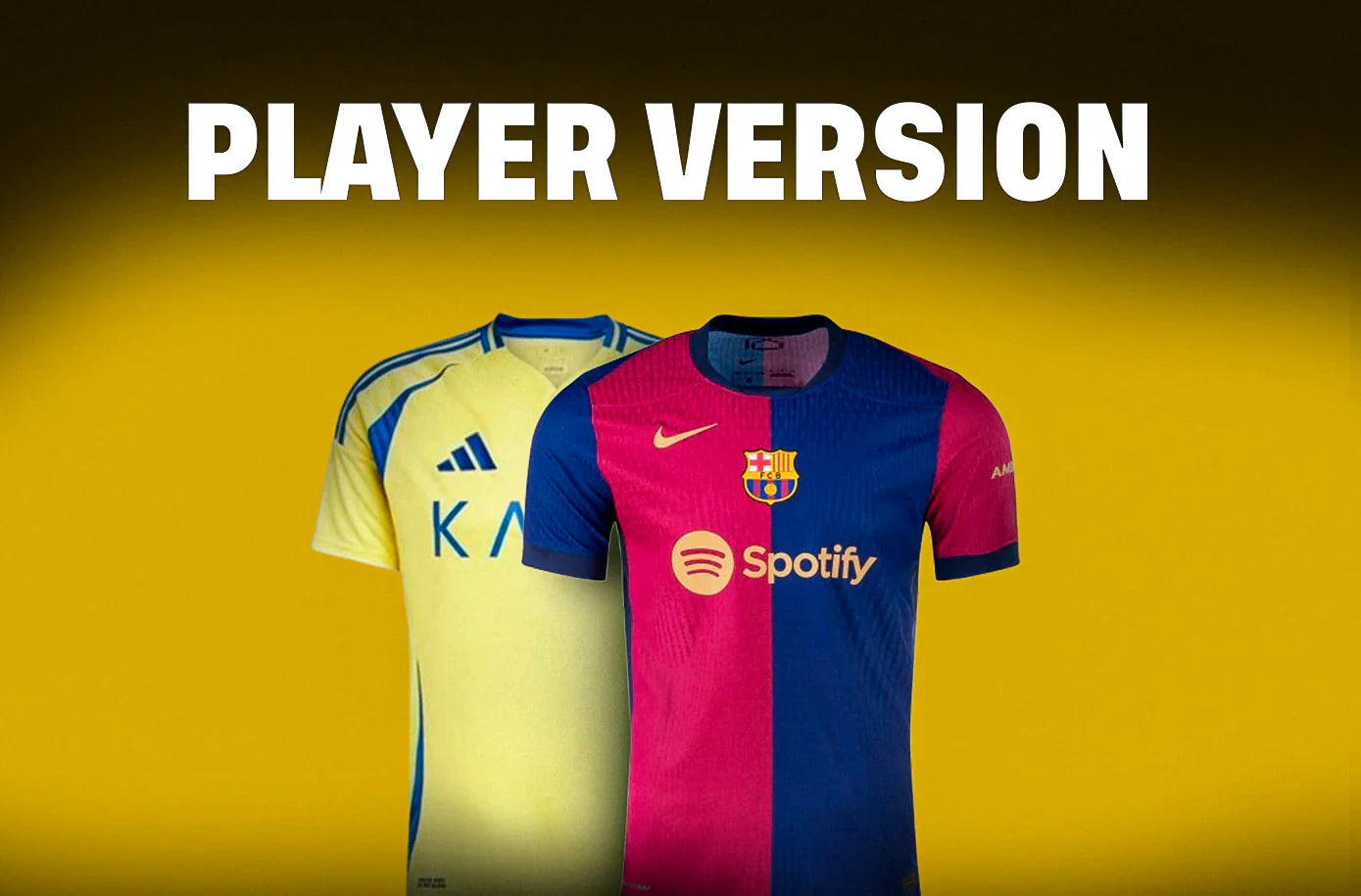 Player Version